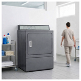 IPSO - SECADORA SEMI-PROFESIONAL NDR10